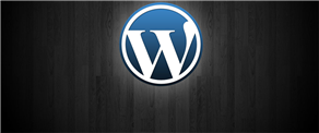 Have you got any wordpress related issue on your site? I can help.