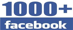 1200 Facebook Likes by Promoting your page for $10