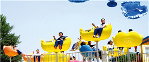 Add some fun to life, own an amusement facility