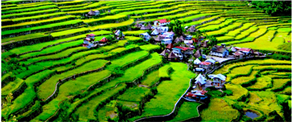 Travel back in time with a trip to the Batad Rice Terraces in the Philippines