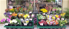 Florist service – Getting quality service from experienced vendors