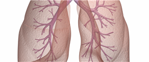 Chronic Obstructive Pulmonary Disease (COPD) –causes, symptoms, prevention and treatment