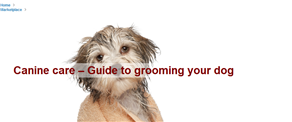 Canine care – Guide to grooming your dog